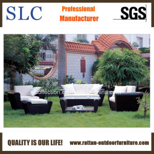 Wicker Sofa Set / Leisure Sofa/Patio Furniture (SC-B1004)